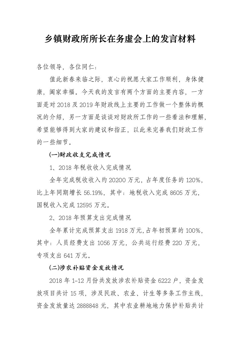 乡镇财政所所长在务虚会上的发言材料