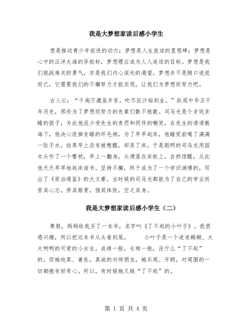 我是大梦想家读后感小学生