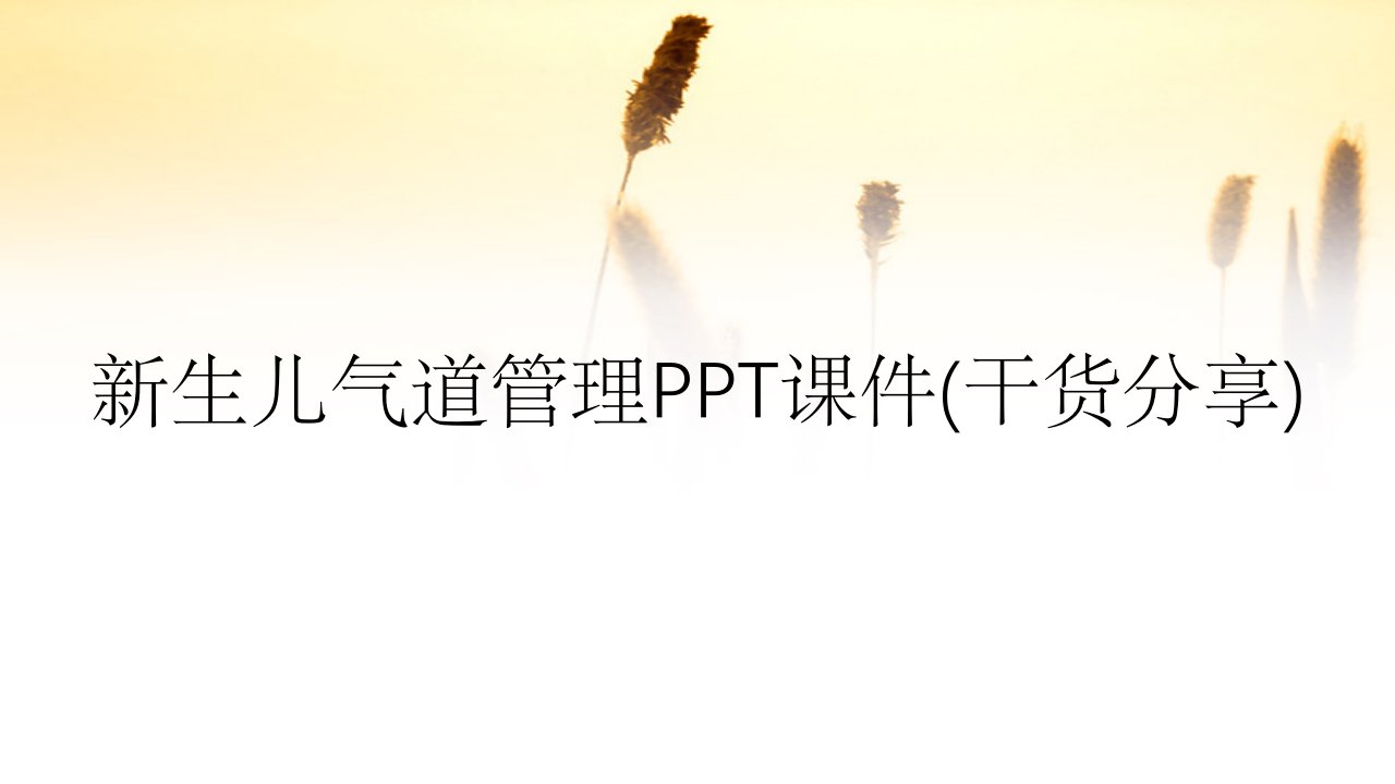 新生儿气道管理PPT课件干货分享