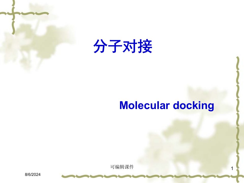 分子对接专题课件