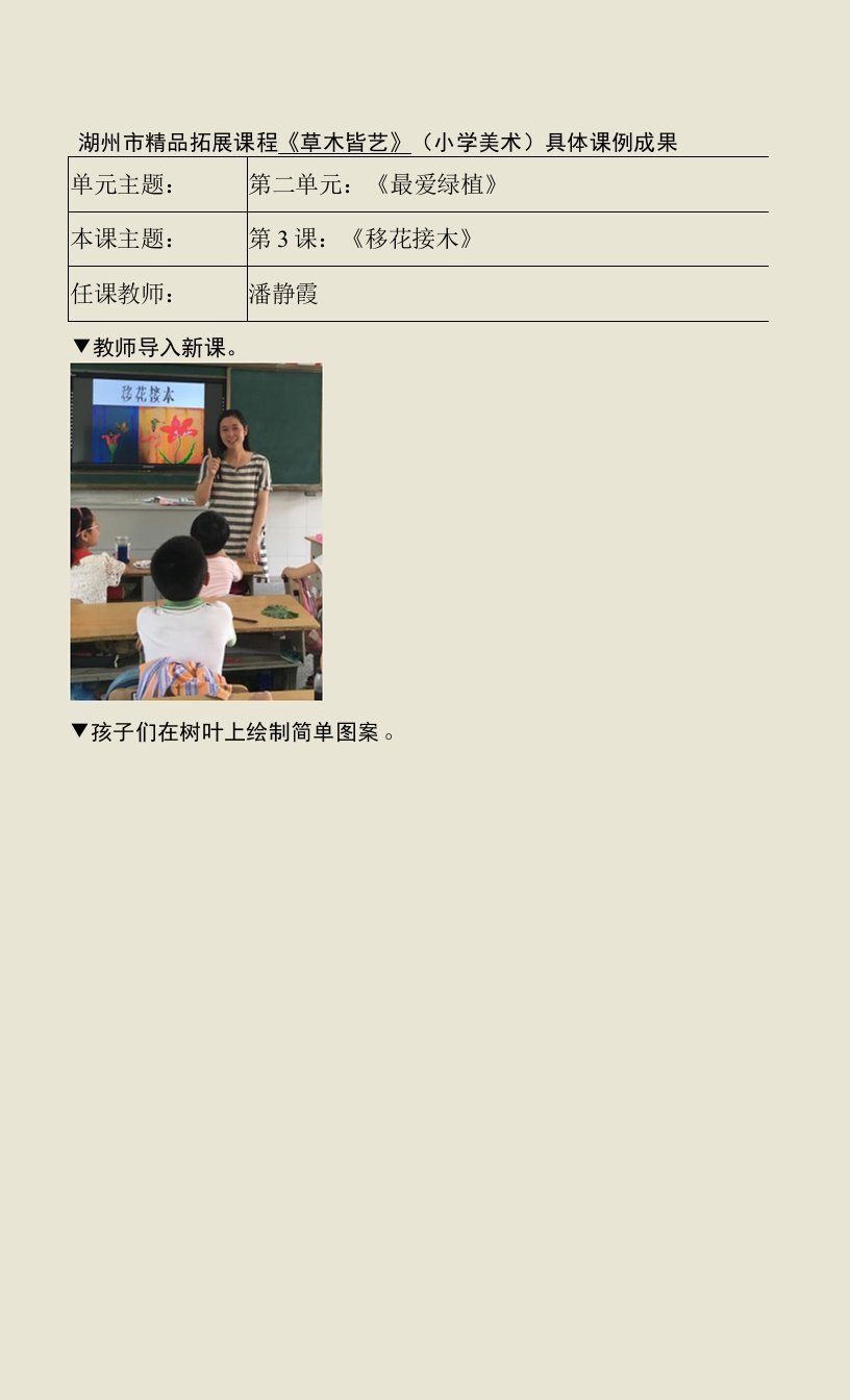 中小学教案课例成果