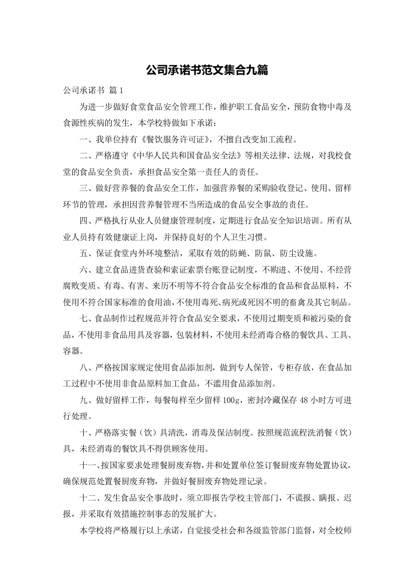 公司承诺书范文集合九篇