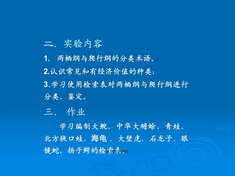 两栖纲及爬行纲分类