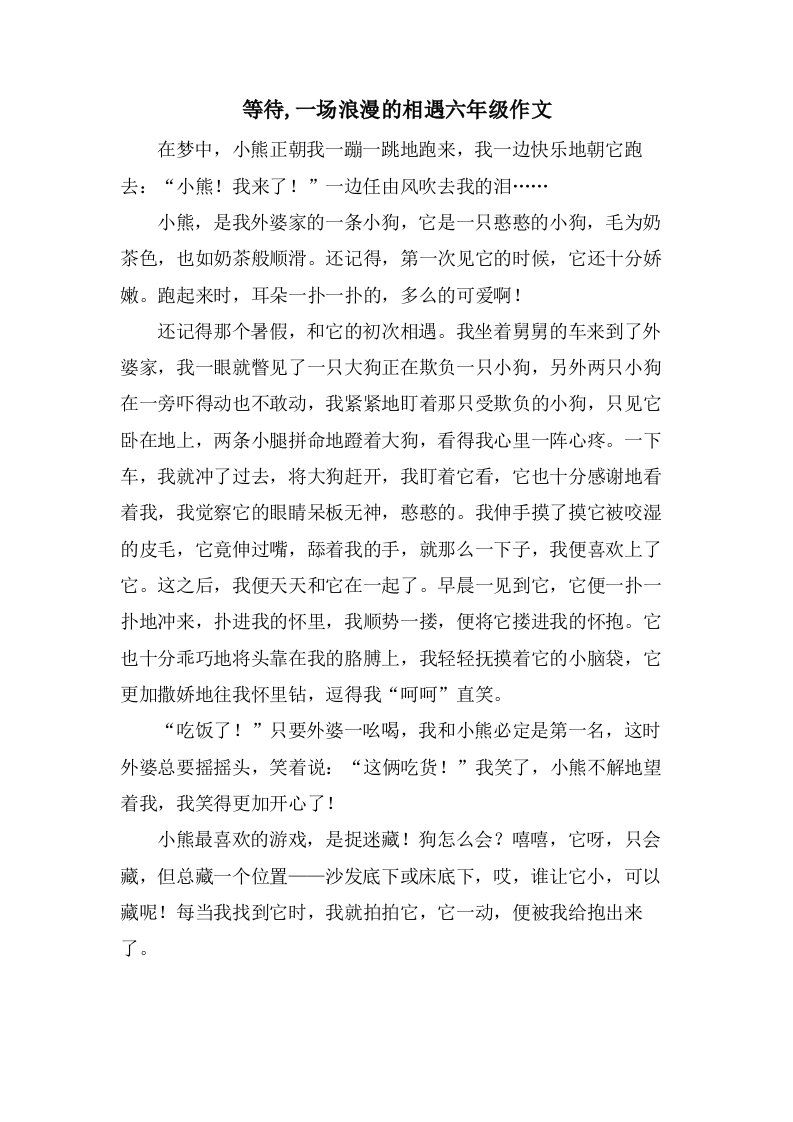 等待,一场浪漫的相遇六年级作文