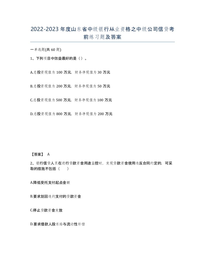 2022-2023年度山东省中级银行从业资格之中级公司信贷考前练习题及答案