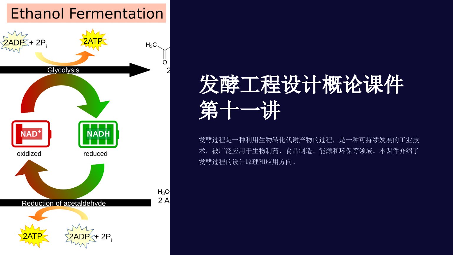 发酵工程设计概论课件第十一讲