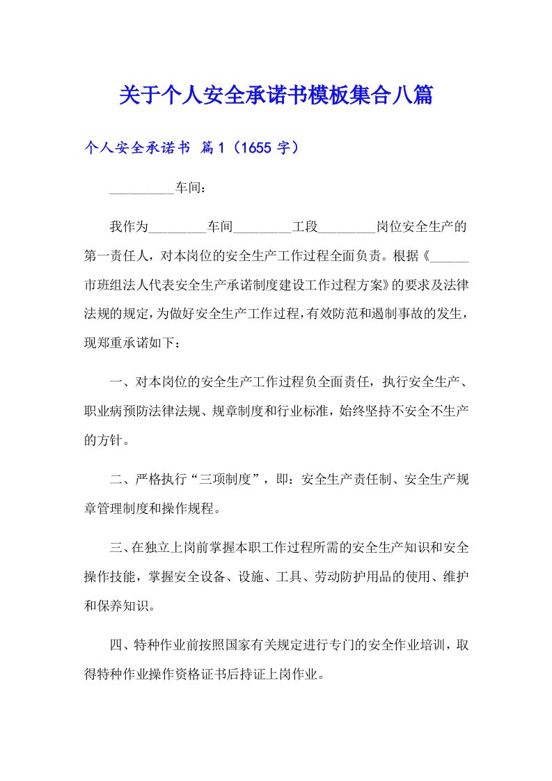 关于个人安全承诺书模板集合八篇