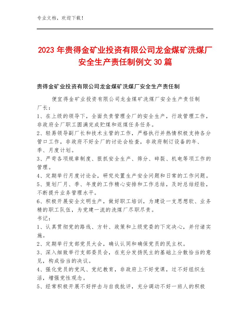 2023年贵得金矿业投资有限公司龙金煤矿洗煤厂安全生产责任制例文30篇