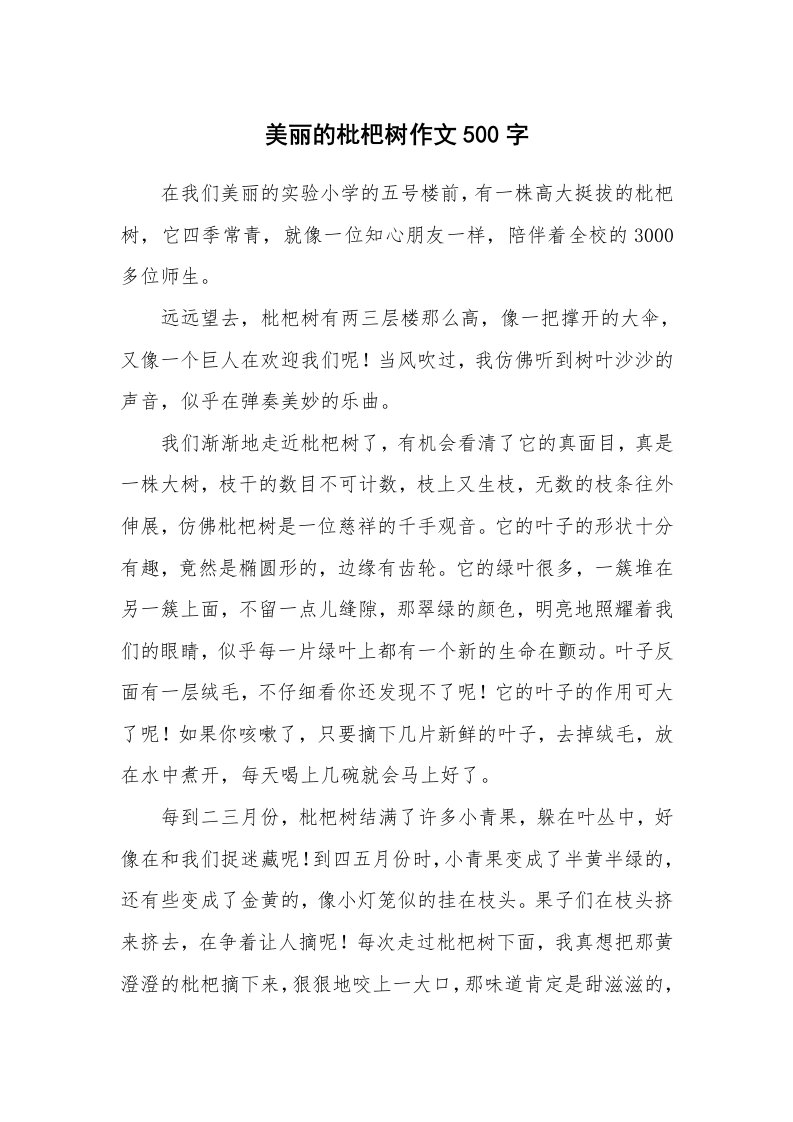 美丽的枇杷树作文500字