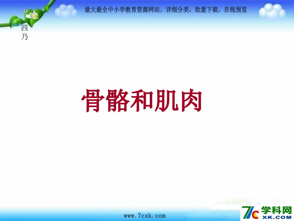 人教版科学六上《骨骼和肌肉》课件1