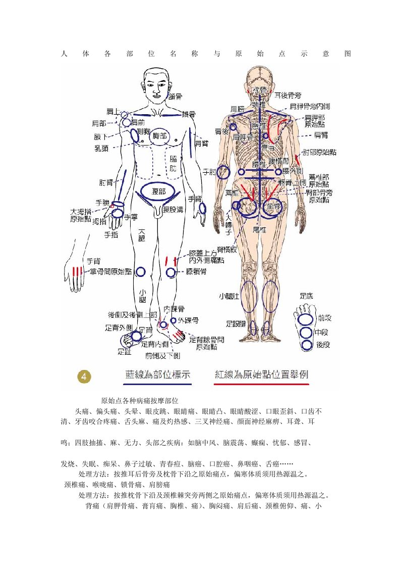 人体各部位名称及原始点示意图