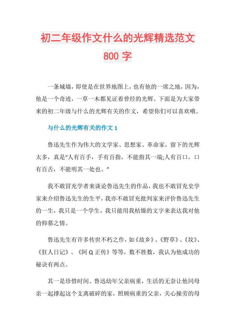 初二年级作文什么的光辉精选范文800字