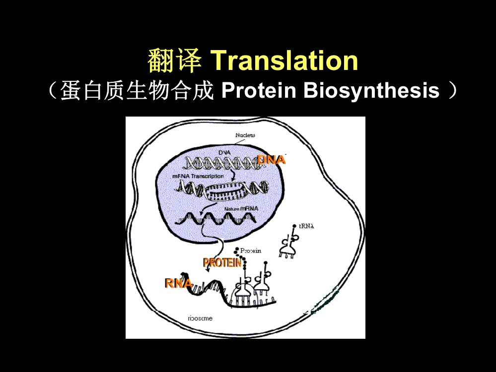 分子生物学公开课一等奖优质课大赛微课获奖课件