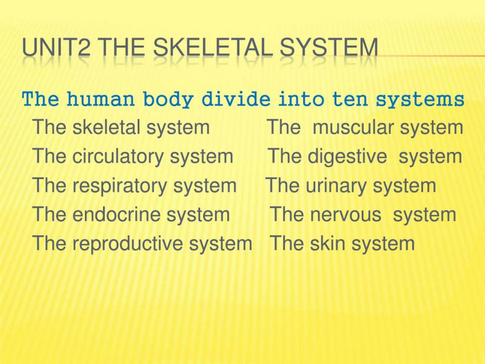 宝典]医学英语_骨骼