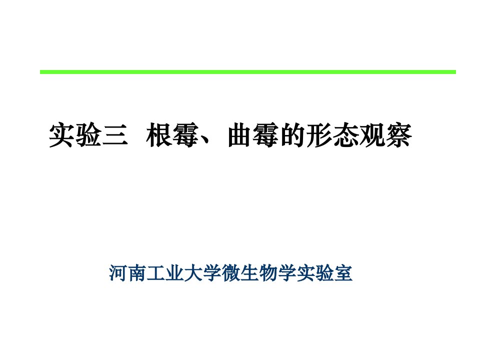 实验三根霉、曲霉的形态观察