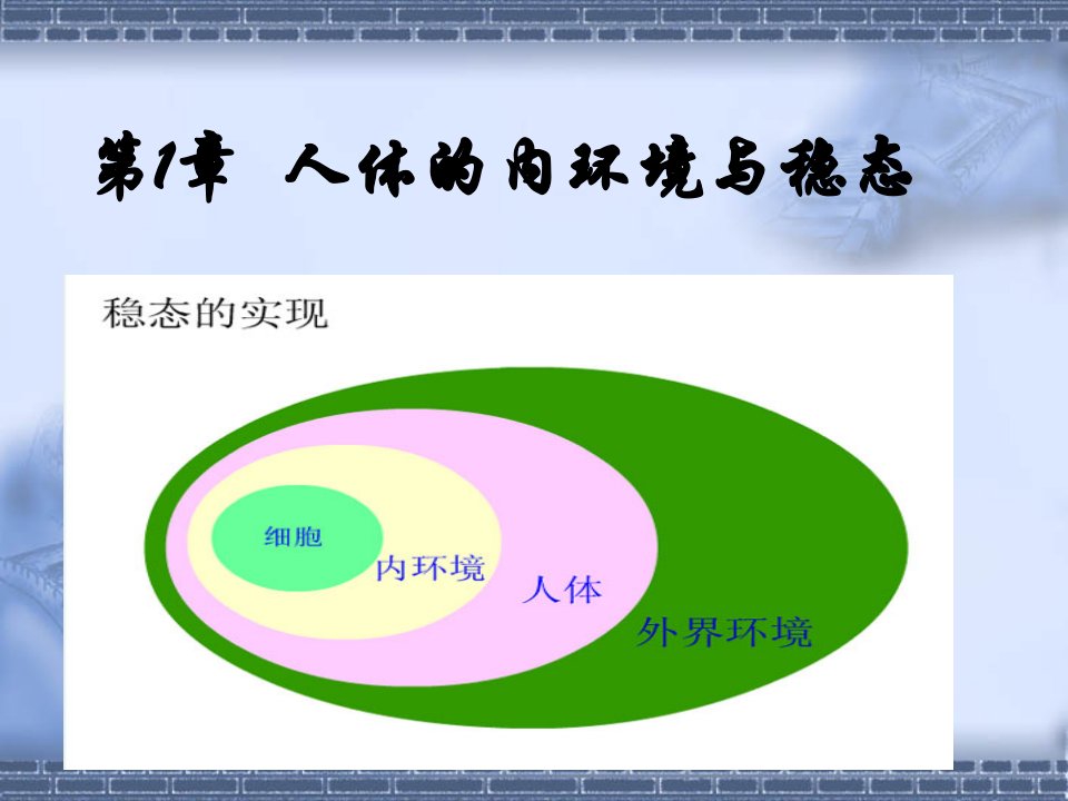 必修3第1章人体内环境与稳态