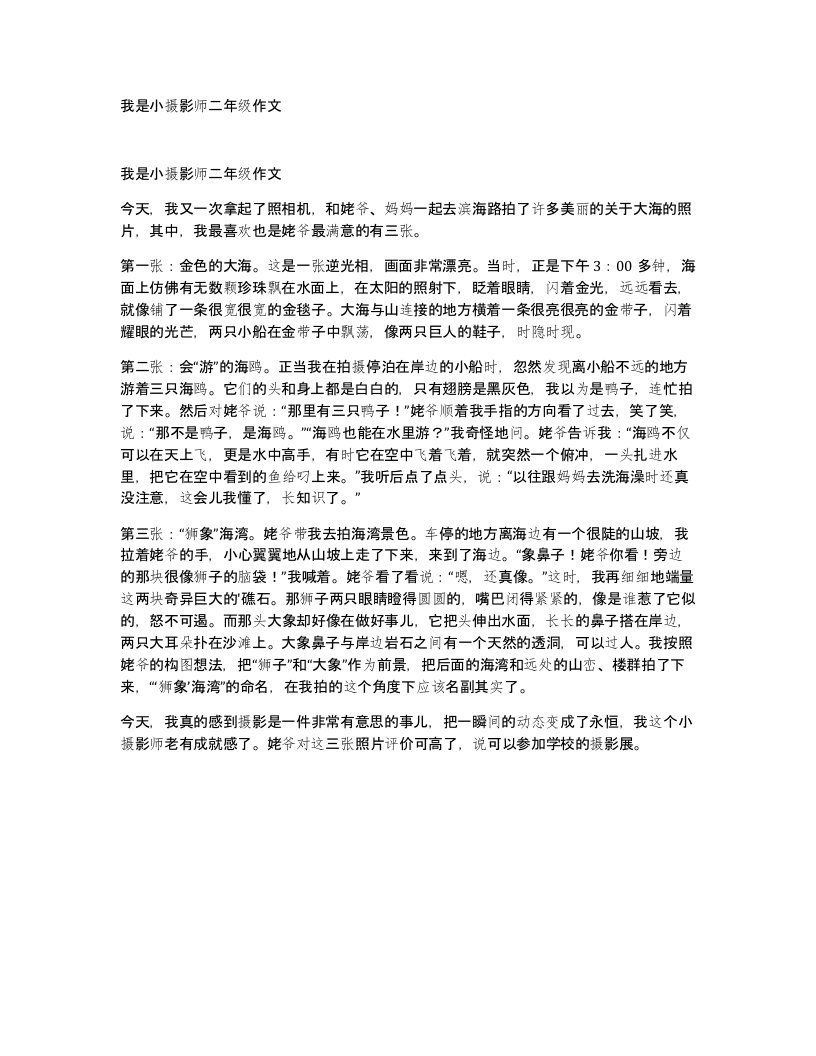 我是小摄影师二年级作文