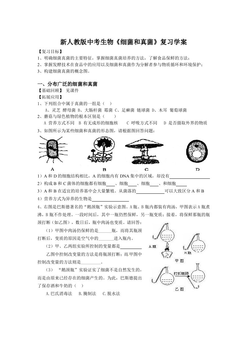 中考生物细菌和真菌复习学案