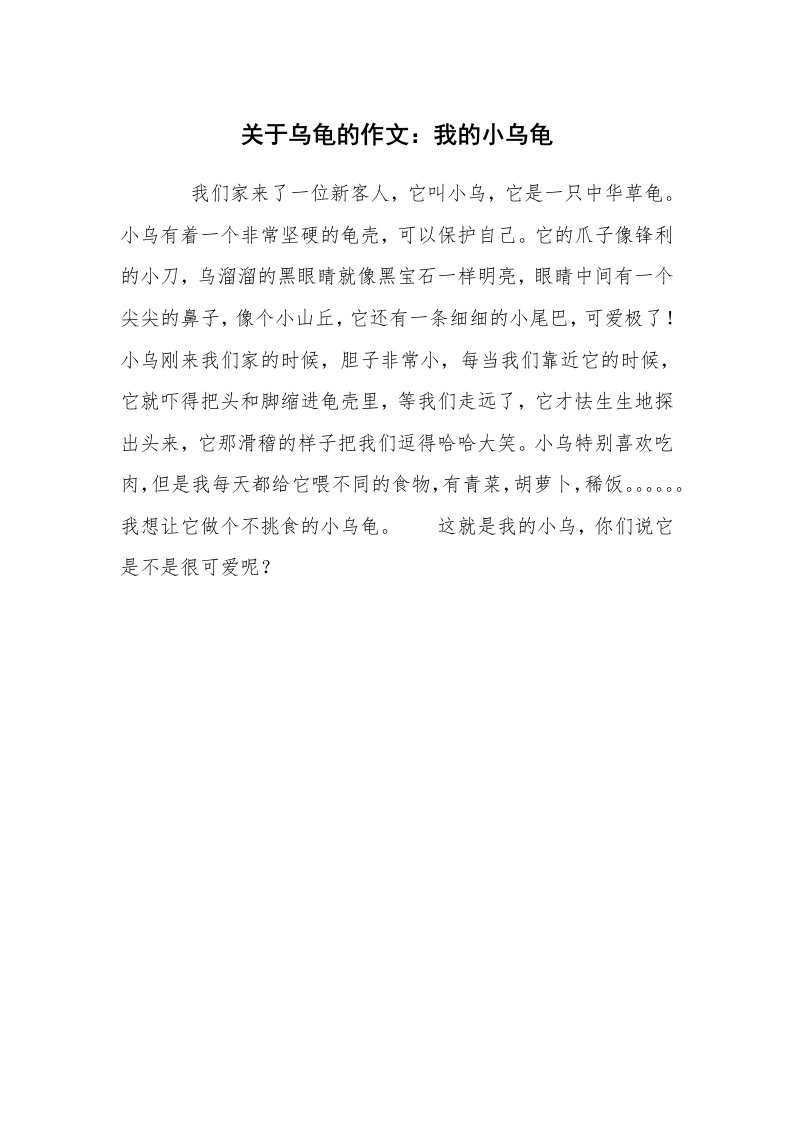 关于乌龟的作文：我的小乌龟