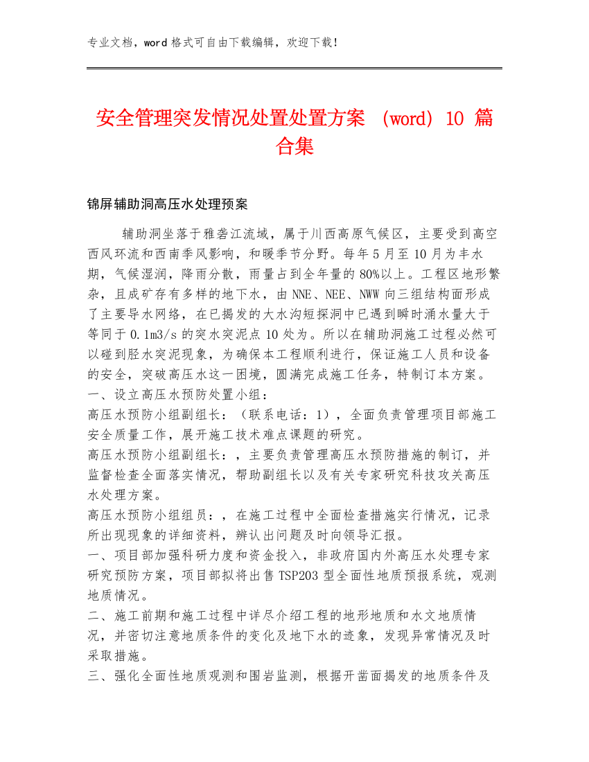 安全管理突发情况处置处置方案