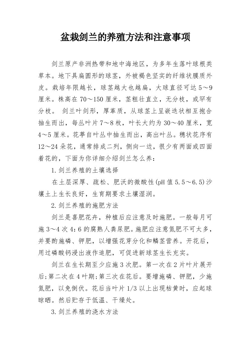 盆栽剑兰的养殖方法和注意事项