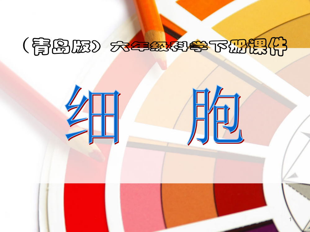 青岛版科学六年级下册第一课细胞ppt课件