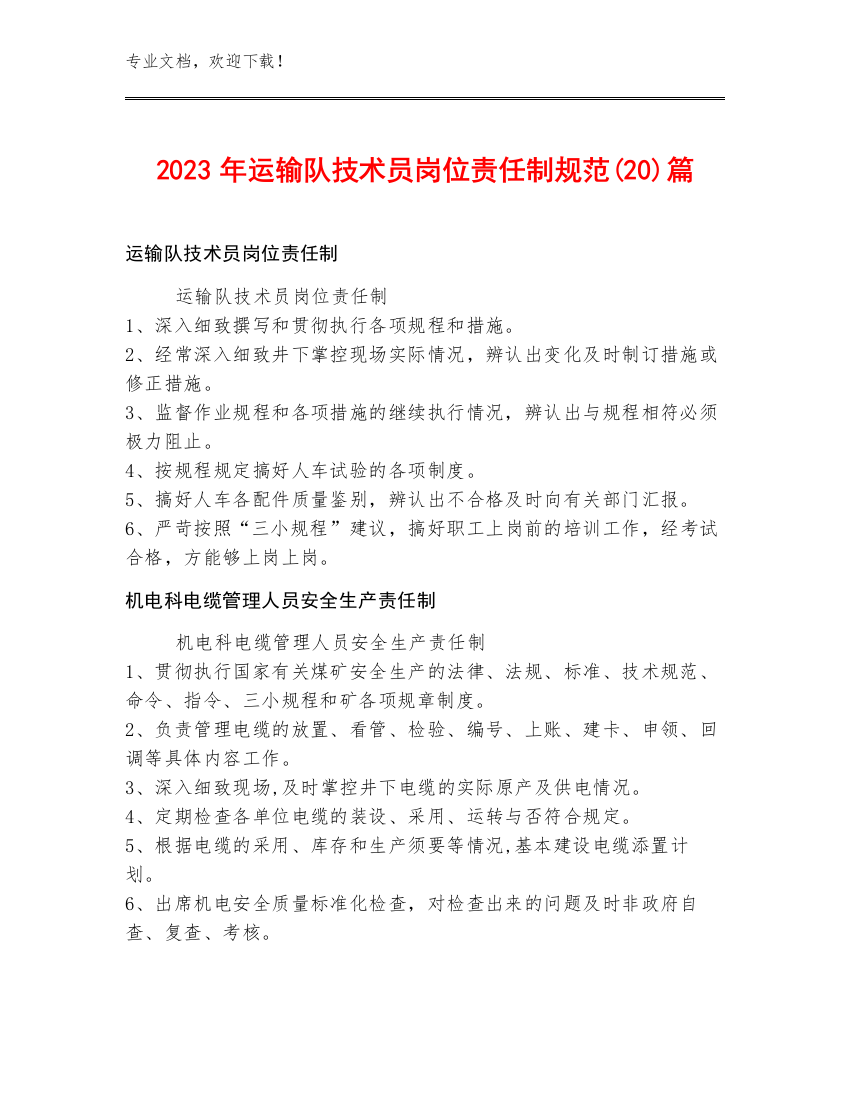 2023年运输队技术员岗位责任制规范(20)篇