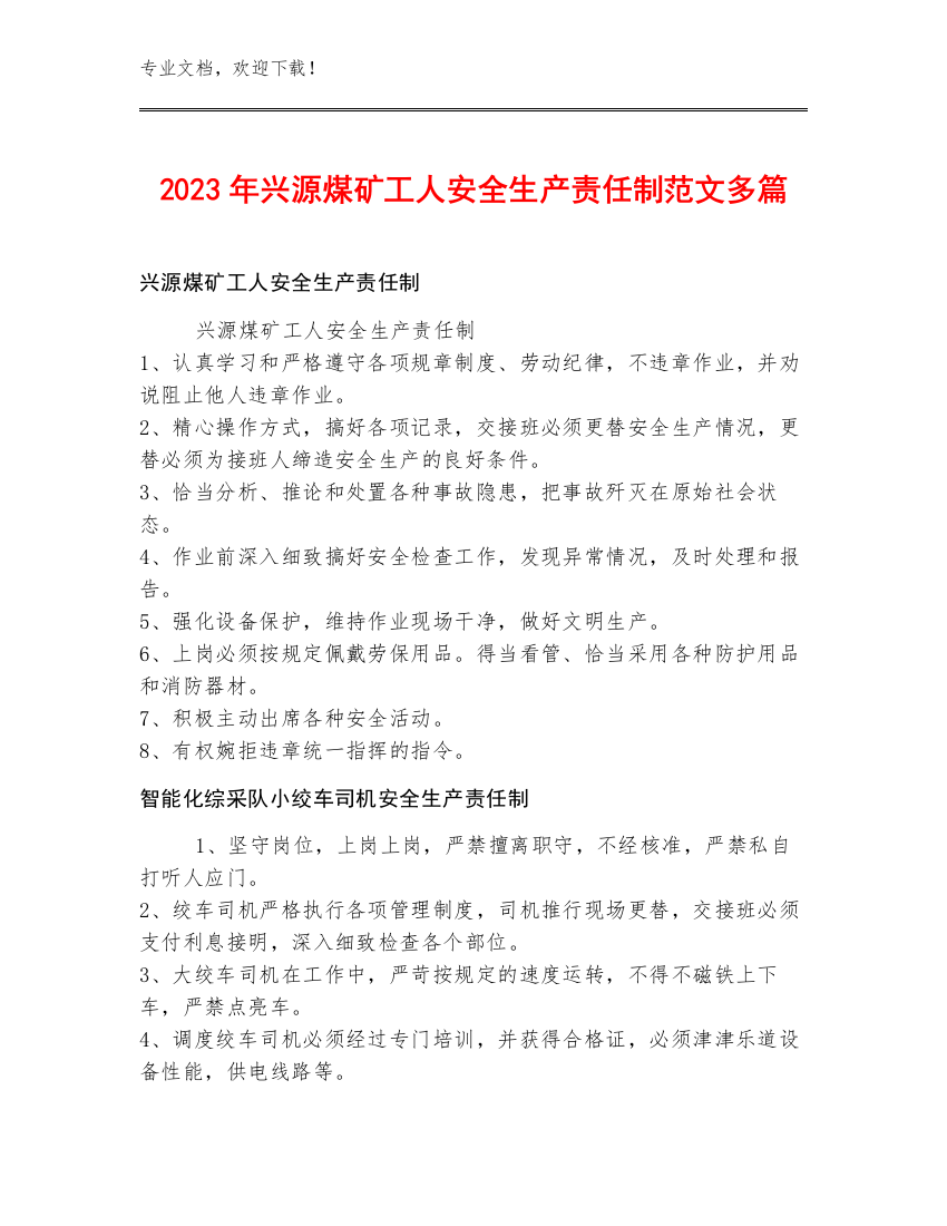 2023年兴源煤矿工人安全生产责任制范文多篇