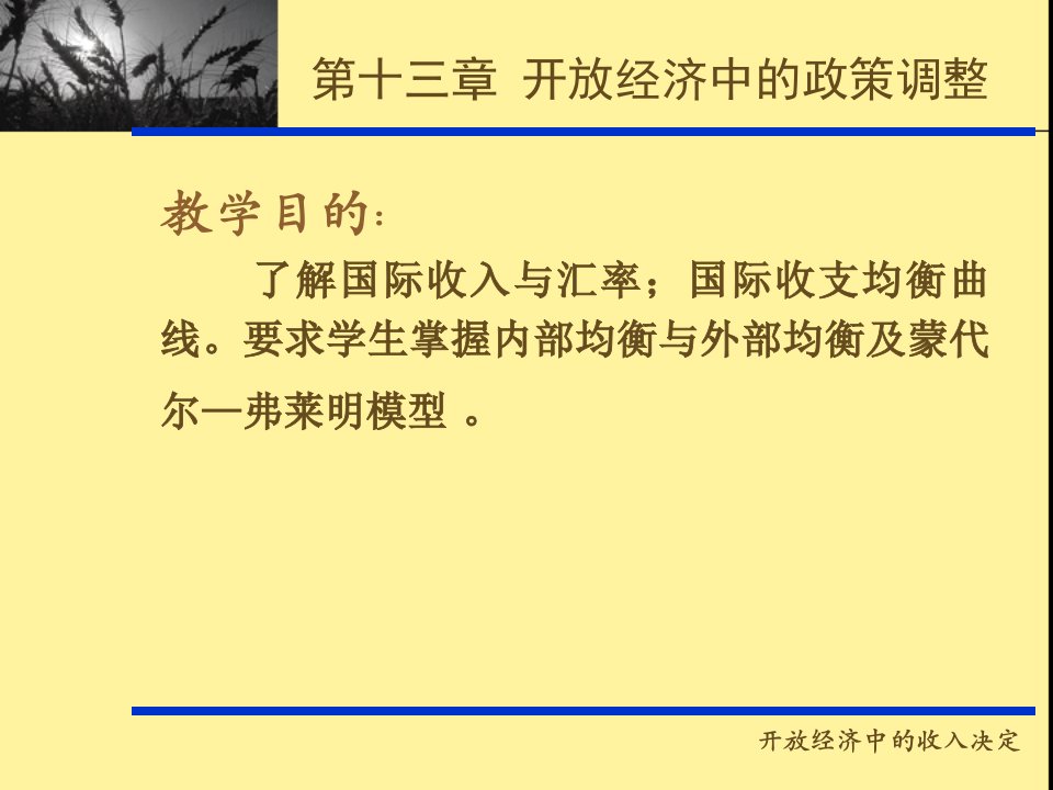 开放经济中的政策调整西经