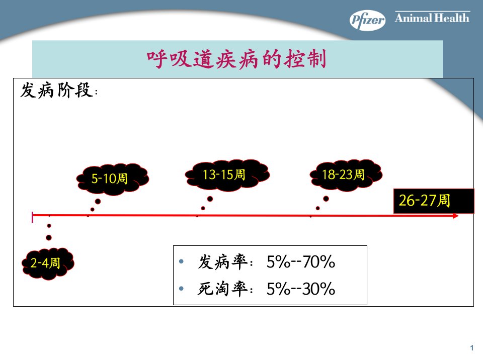 美国辉瑞公规模化猪场呼吸道主要疾病控制与净化方案课件