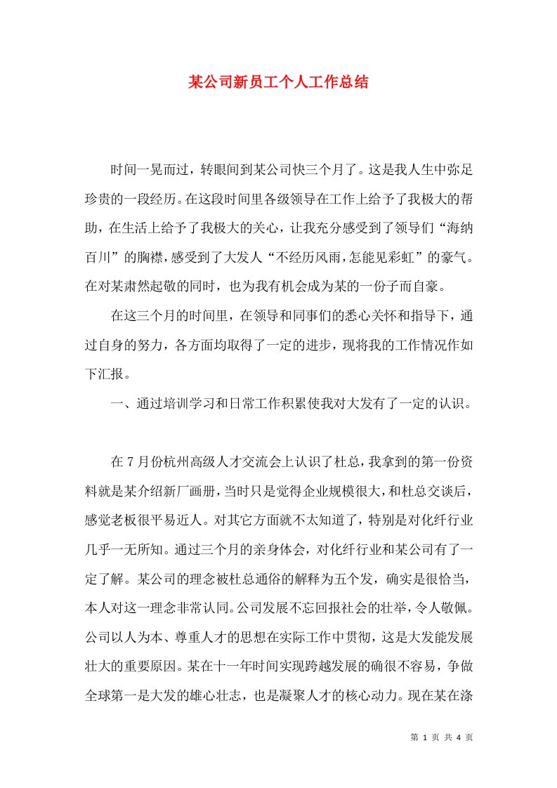 某公司新员工个人工作总结