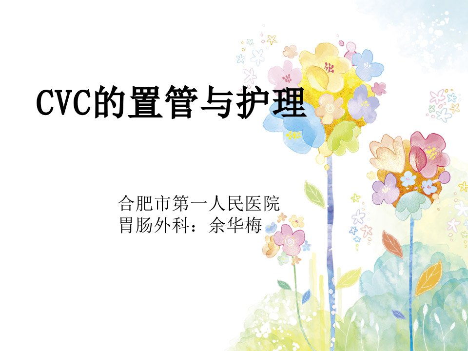 cvc的护理ppt课件