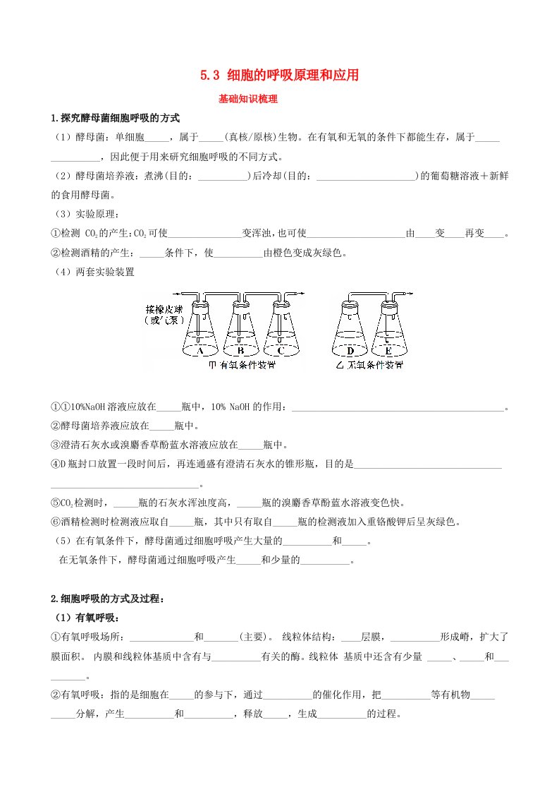 2024年同步备课高中生物5.3细胞的细胞的呼吸原理和应用同步训练学生版新人教版必修1