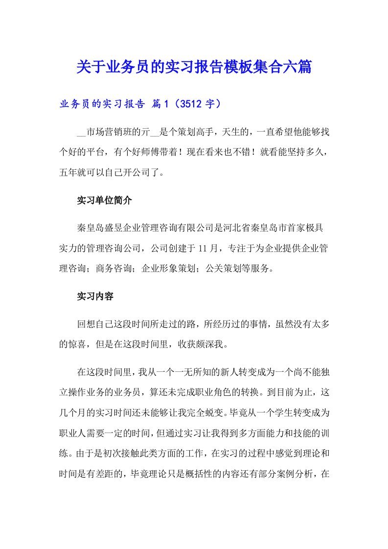 关于业务员的实习报告模板集合六篇