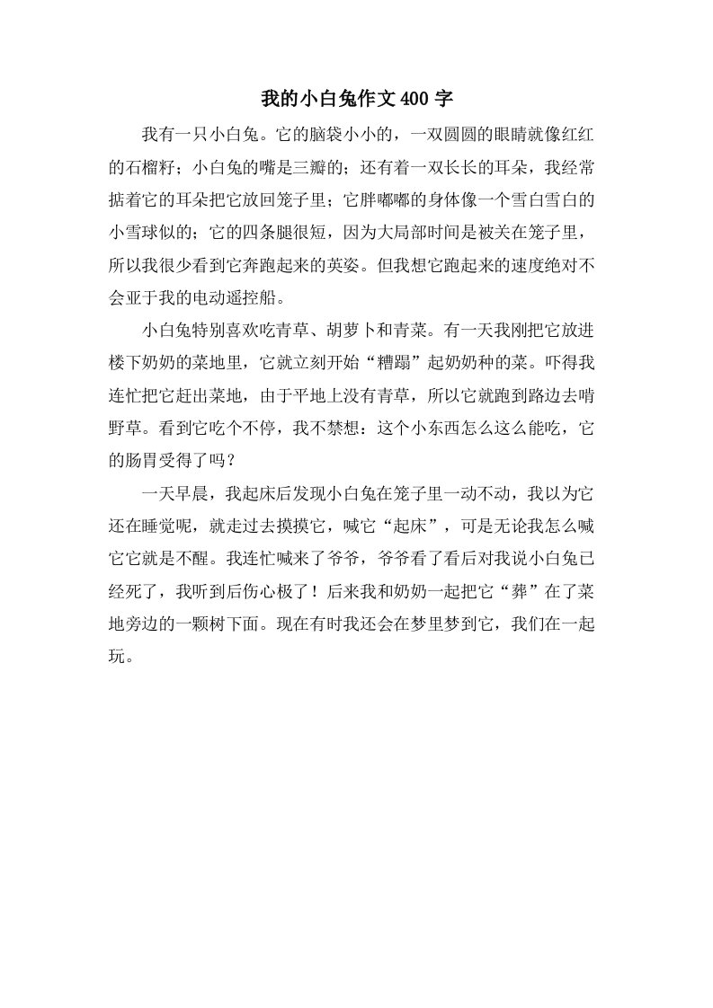 我的小白兔作文400字