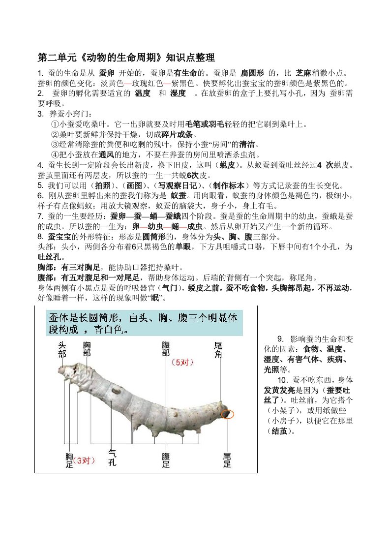 小学三下科学第二单元《动物的生命周期》知识点整理