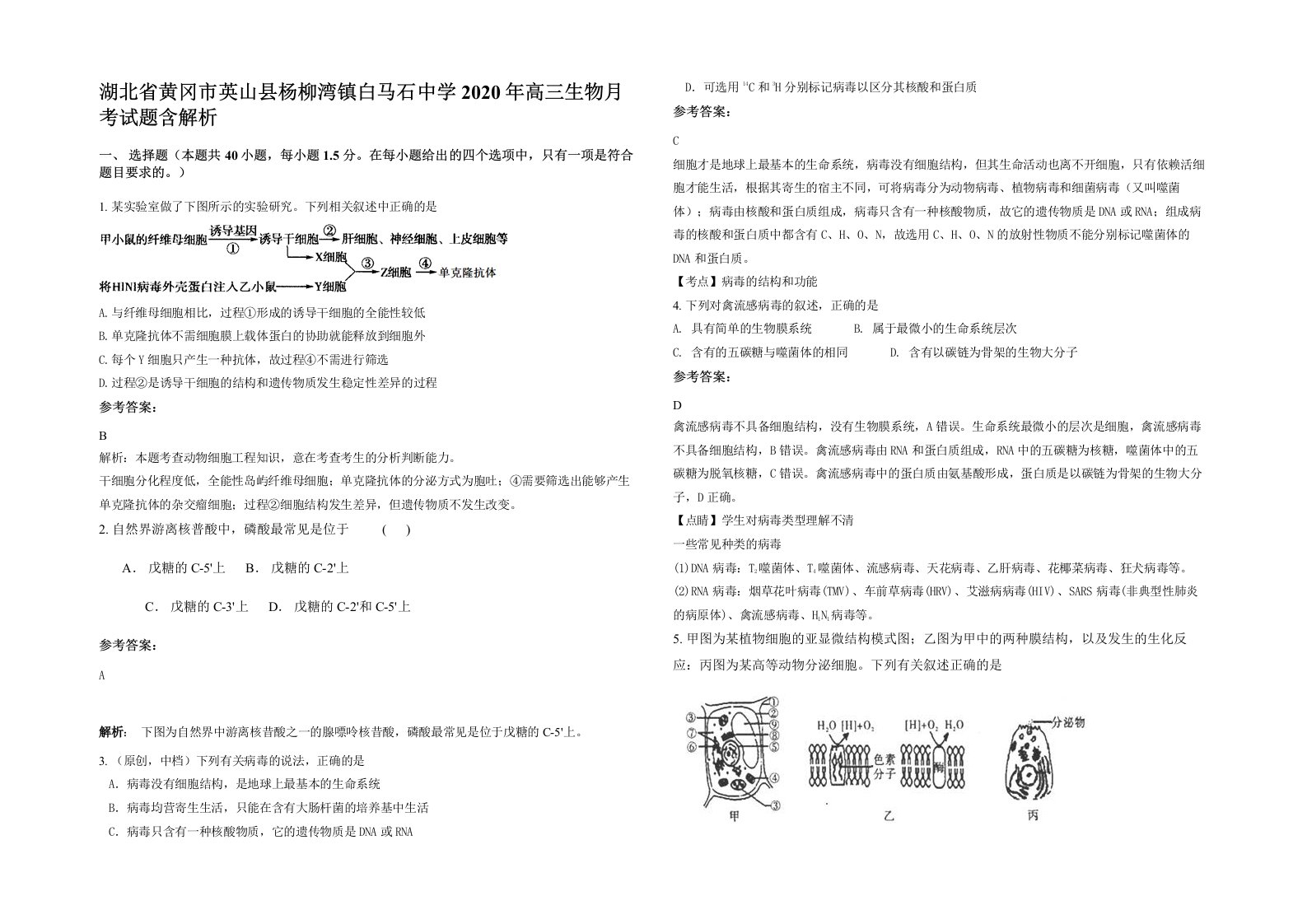 湖北省黄冈市英山县杨柳湾镇白马石中学2020年高三生物月考试题含解析