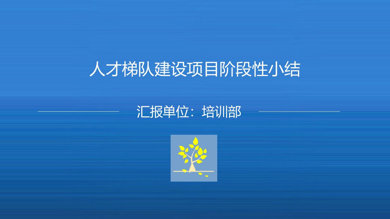 人才梯队建设项目小结