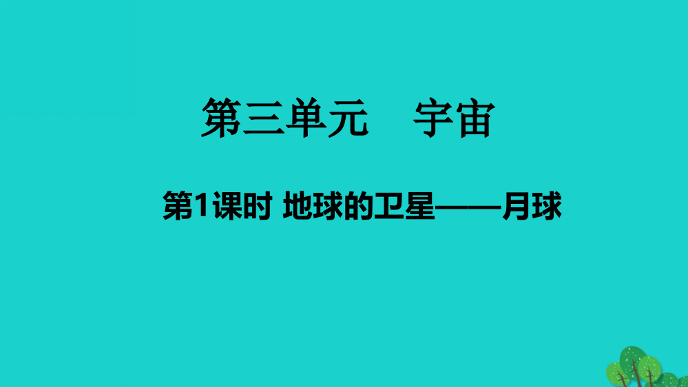 六年级科学下册