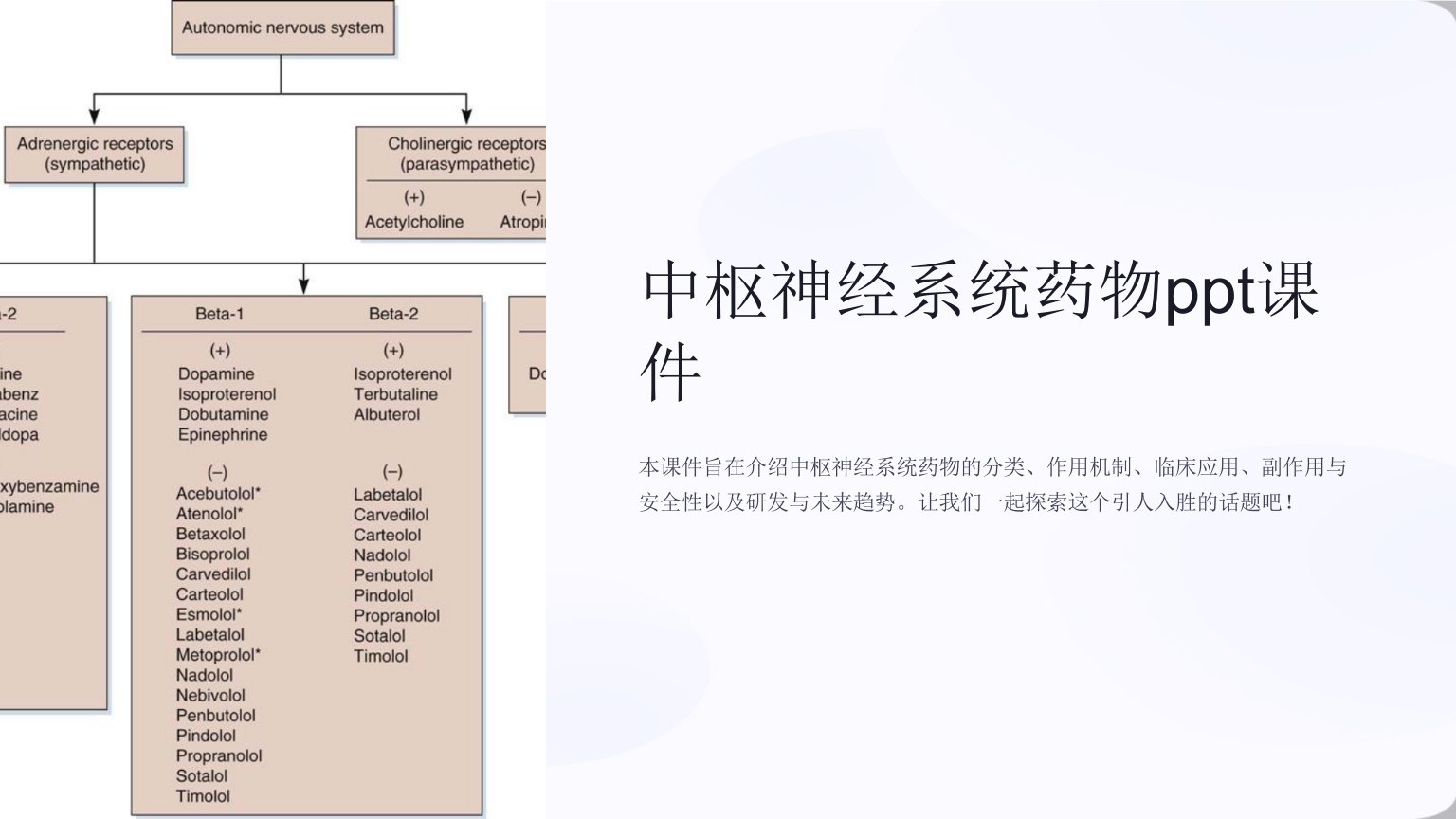 中枢神经系统药物课件