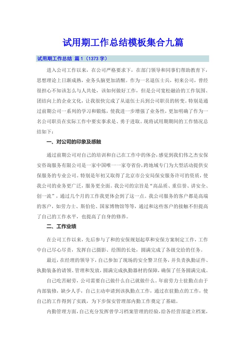 试用期工作总结模板集合九篇