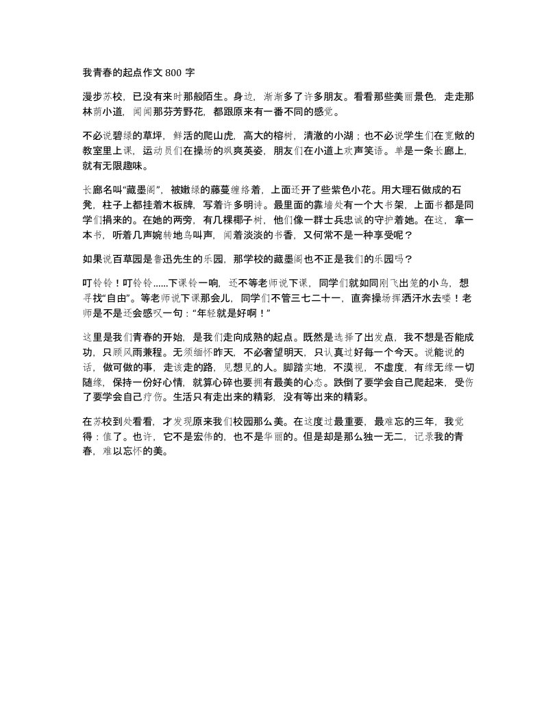 我青春的起点作文800字