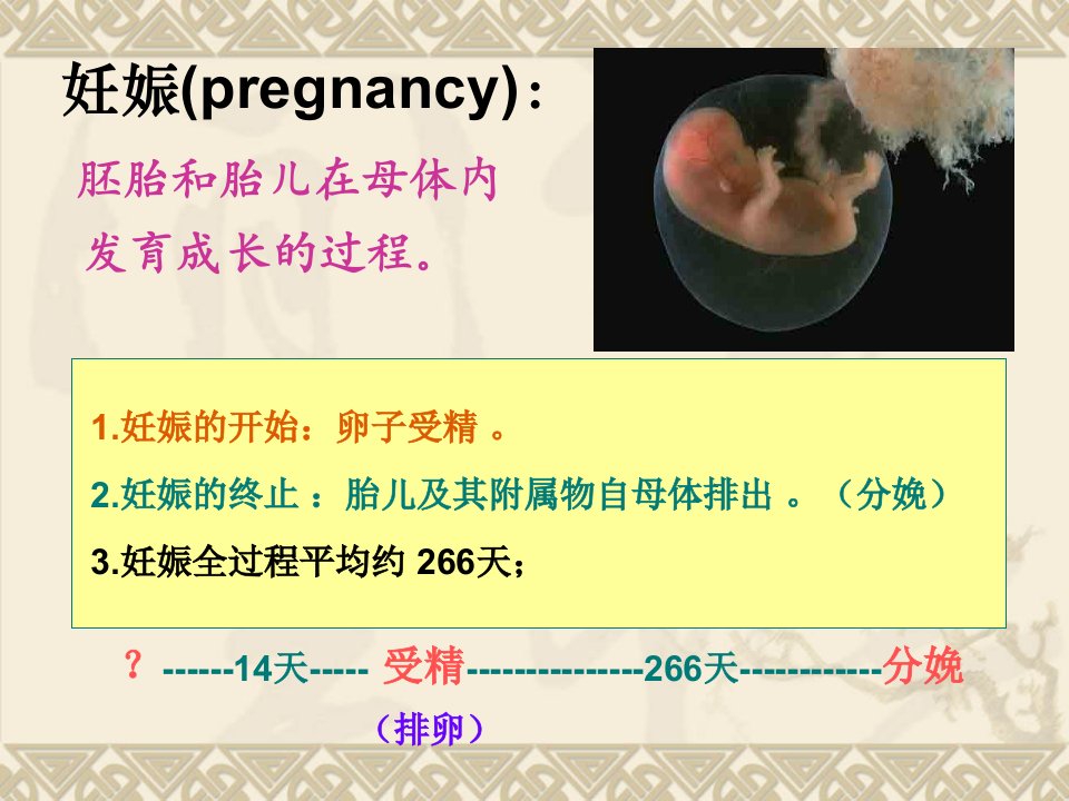 妊娠生理.ppt1111电子版本