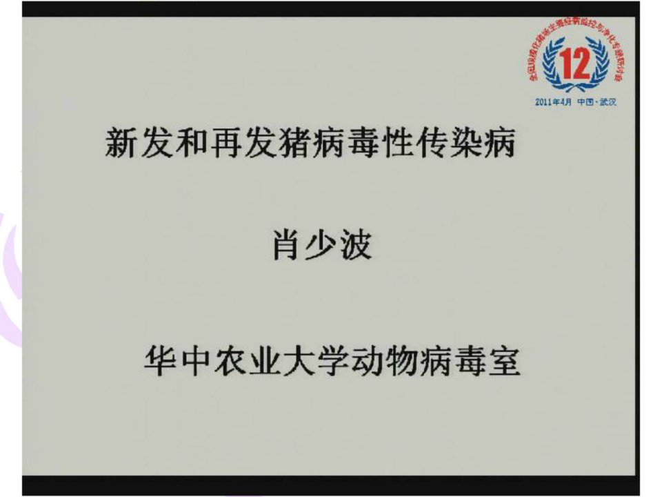 指南新发和再发猪病毒性沾染病（肖少波）畜牧兽医农林牧渔专业资料课件