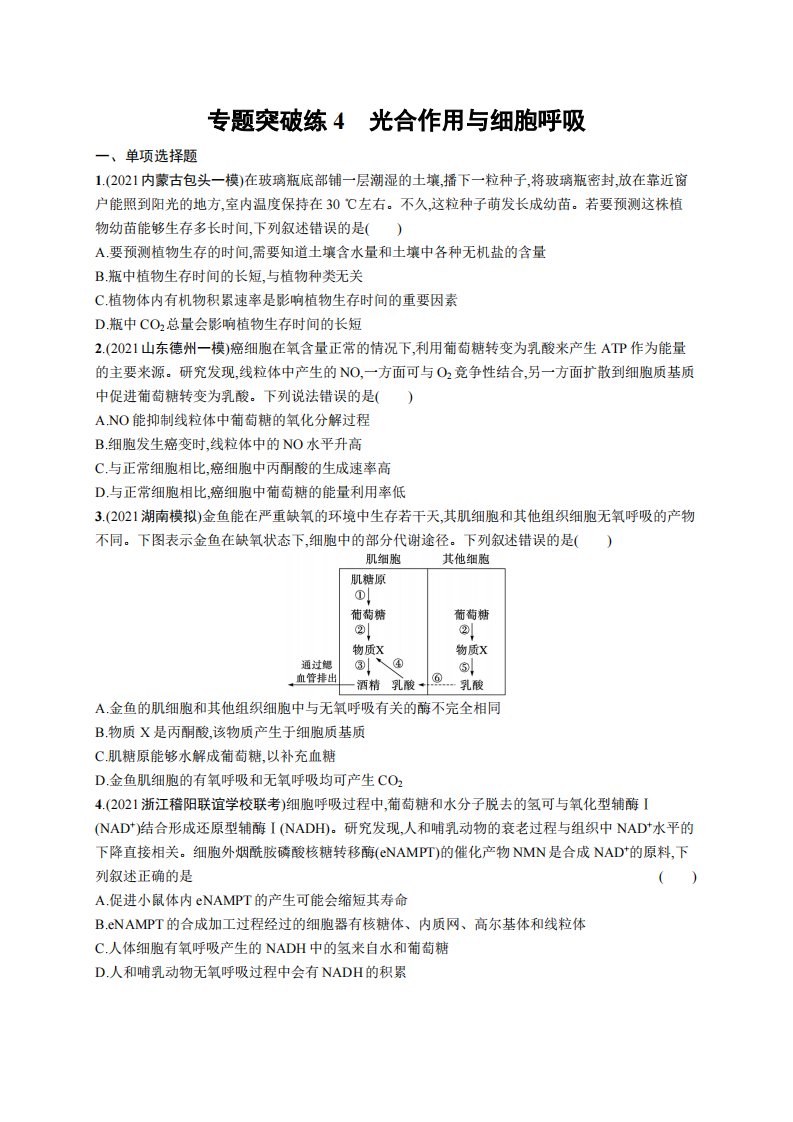 专题突破练4　光合作用与细胞呼吸