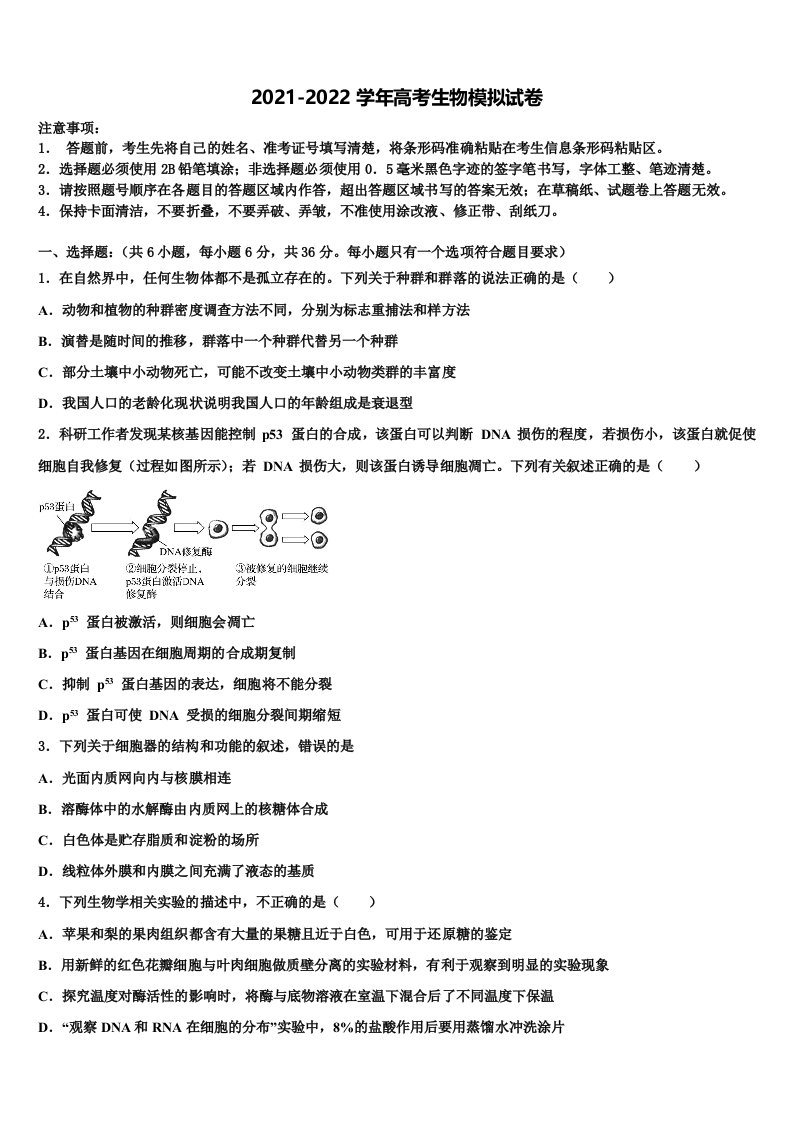 云南省安宁市实验石江学校2021-2022学年高三下学期第六次检测生物试卷含解析