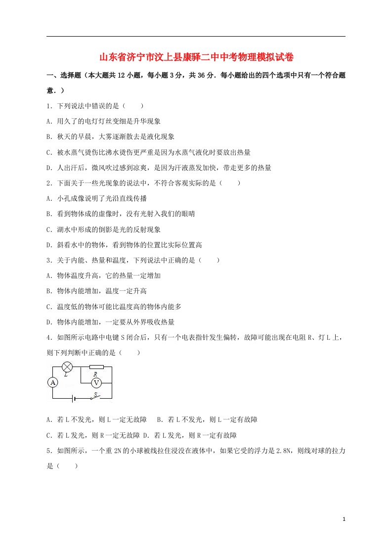 山东省济宁市汶上县康驿二中中考物理模拟试题（含解析）