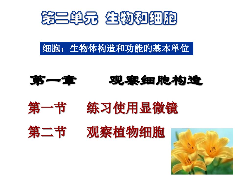 七年级生物观察细胞的结构省名师优质课赛课获奖课件市赛课一等奖课件