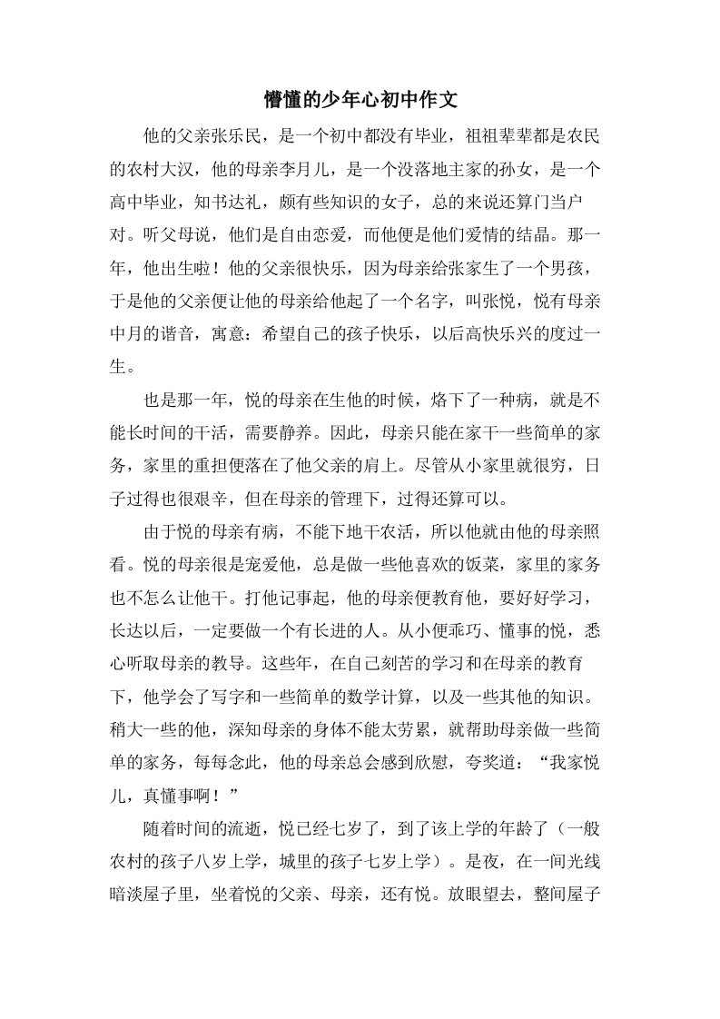 懵懂的少年心初中作文