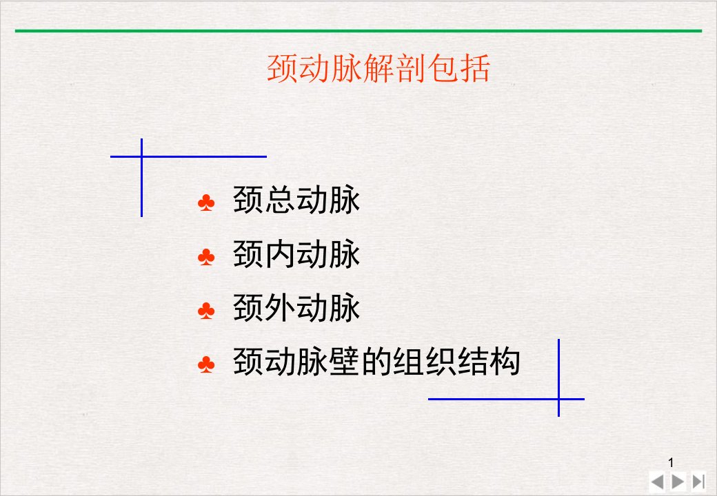 颈动脉的应用解剖ppt课件完整版